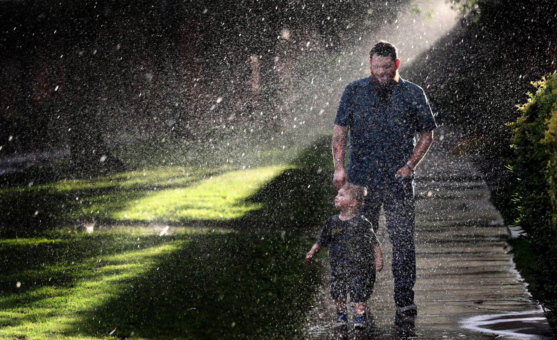 Best of 2020 photos, Arizona Daily Star